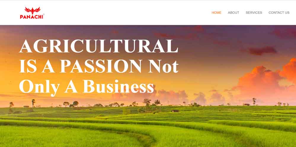 Website